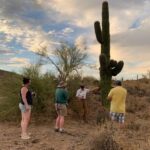 Scottsdale: McDowell Sonoran Preserve Hiking Tour - The Sum Up