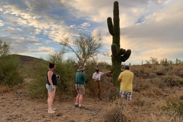 Scottsdale: McDowell Sonoran Preserve Hiking Tour - The Sum Up