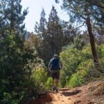 Scottsdale to Sedona Hike and Sights Tour - The Overall Experience: What It’s Like