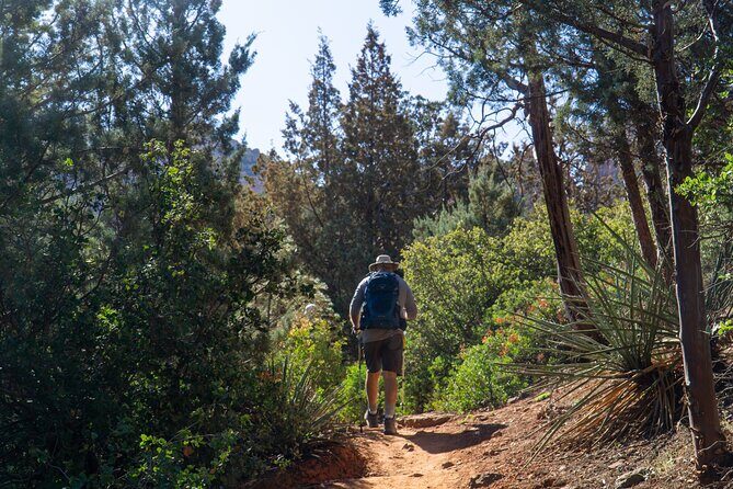 Scottsdale to Sedona Hike and Sights Tour - The Overall Experience: What It’s Like