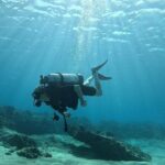 SCUBA Dive at Electric Beach with Photos -No Certification Needed - The Value of the Experience: Is It Worth It?