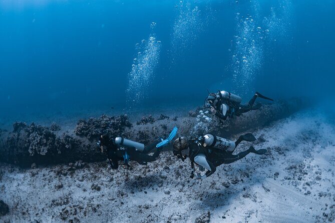 Scuba Dive at Electric Beach - The Sum Up