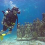 Scuba Dive at Musa Cancun for Certified Divers - The Underwater Sculptures and Marine Environment