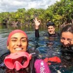 Scuba Diving for Beginners  Playa del Carmen or Tulum - Why This Tour Stands Out