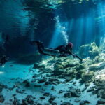 Scuba in 2 cenotes in a half-day - Diving in the Cenotes: What You’re Getting Into