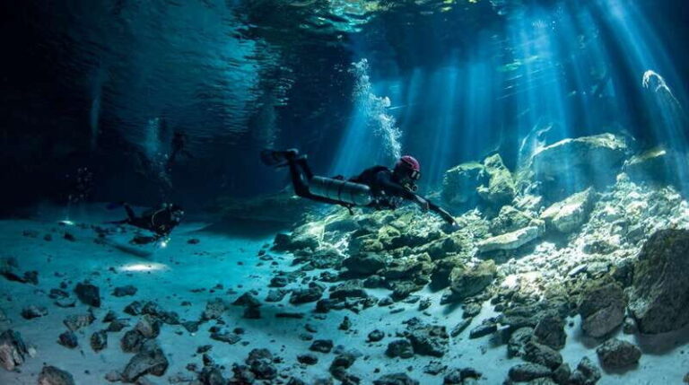 Scuba in 2 cenotes in a half-day - Diving in the Cenotes: What You’re Getting Into