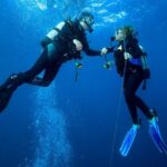 Scuba Reef Dive in Waikiki with One Tank - What to Expect from Your Waikiki Reef Dive