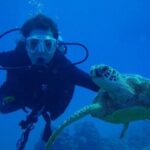 Scuba Referral Dives & Beach Club with Transportation In Riviera Maya - Analyzing the Cost and Value