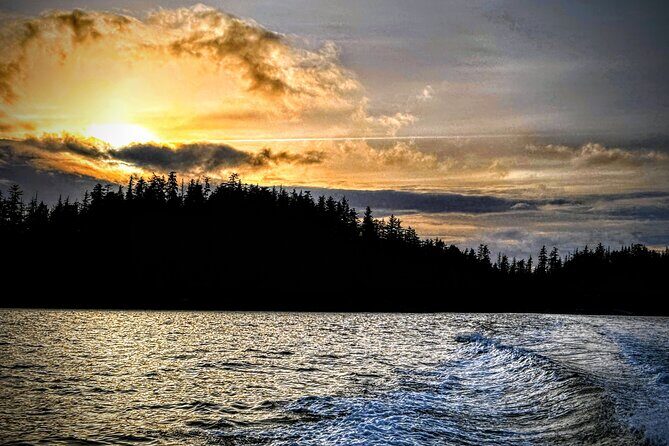 Sea it All -Private Sitka Wildlife LAND & SEA COMBO for 6 w/meal - Is the Price Justified?