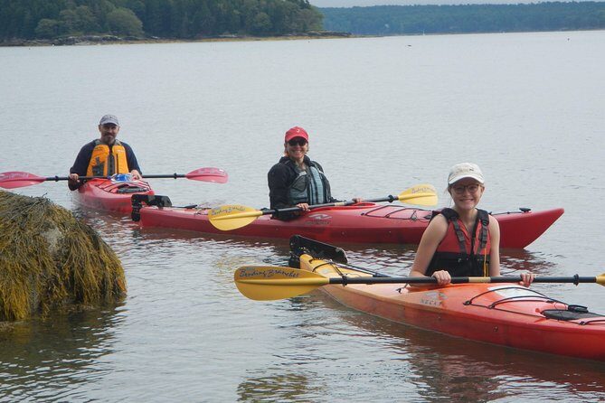 Sea Kayak to an Island Tour in Casco Bay - The Experience: What You Can Expect