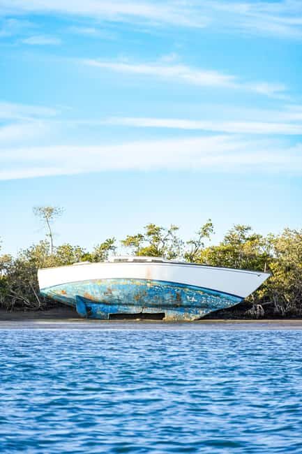 Sea Kayak Tour - Mangrove Safari - Detailed Breakdown of the Itinerary