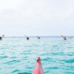 Sea Kayak Tour Marine Safari - Final Thoughts