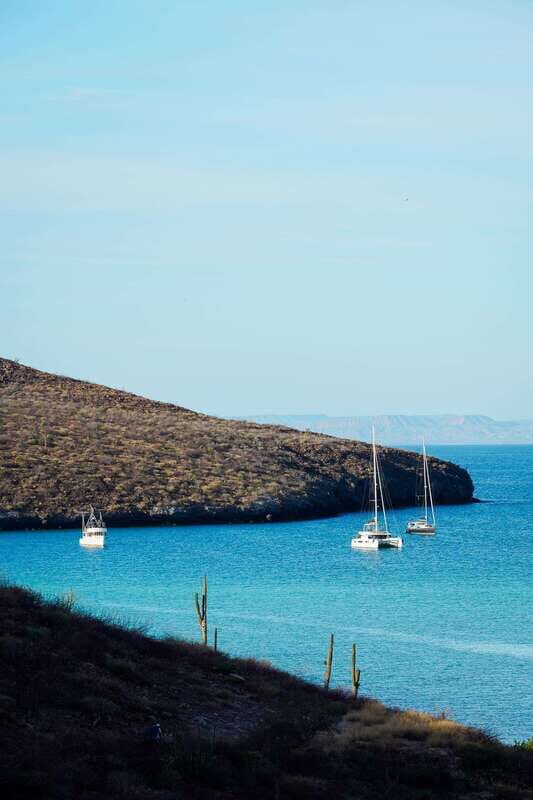 Sea Kayak Tour - Marine Safari - The Value and Who Its For