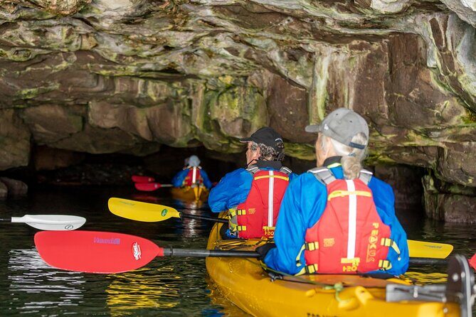 Sea Kayaking Christchurch, Lyttelton Harbour & Quail Island - The Bottom Line: Who Will Love This Tour?