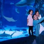 SEA LIFE Arizona Aquarium General Admission - The Real Visitor Experience