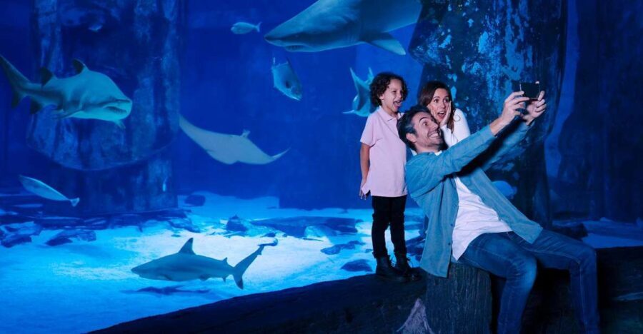 SEA LIFE Arizona Aquarium General Admission - The Real Visitor Experience