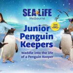 SEA LIFE Melbourne Aquarium Admission Ticket - Practical Details and How to Make the Most of Your Visit