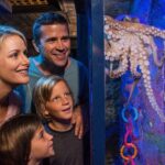 SEA LIFE Sunshine Coast Aquarium Entrance Ticket - Is It Worth It?