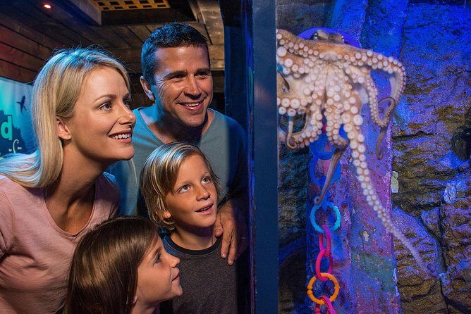 SEA LIFE Sunshine Coast Aquarium Entrance Ticket - Is It Worth It?