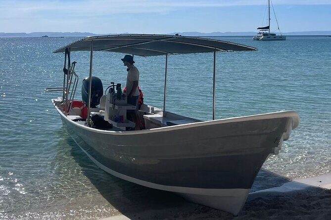 Sea Lion Snorkel Adventure at Espíritu Santo Island - The Itinerary in Detail