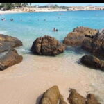 Sea of Cortez: Unforgettable Snorkeling Experience - The Pros and Cons of This Tour