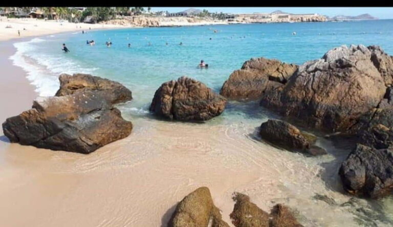 Sea of Cortez: Unforgettable Snorkeling Experience - The Pros and Cons of This Tour