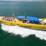 Sea Screamer Cruise - 2 Hour Dolphin Watch Tour in South Carolina - Who Should Book This Tour?