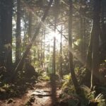 Sea to Sky Discovery Tour - The Value of the Experience