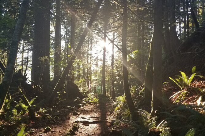 Sea to Sky Discovery Tour - The Value of the Experience