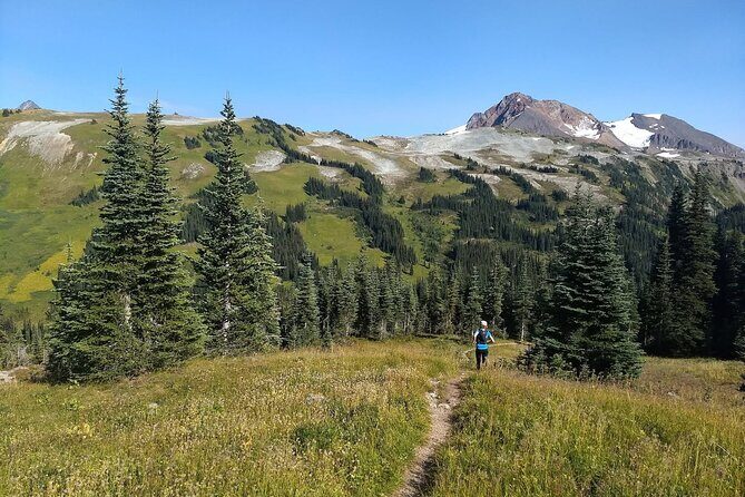 Sea to Sky Hiking Adventure - What Travelers Have Said