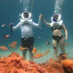 Sea Trek Adventure at Chankanaab National Park - How It Works: The Day of Your Tour