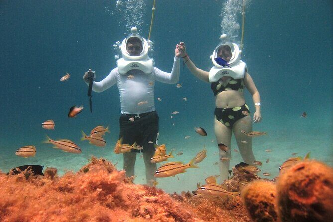 Sea Trek Adventure at Chankanaab National Park - How It Works: The Day of Your Tour