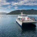 Seafood Odyssea Marlborough Sounds Cruise from Picton - The Seafood Experience