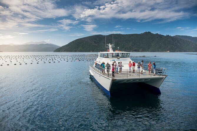 Seafood Odyssea Marlborough Sounds Cruise from Picton - The Seafood Experience