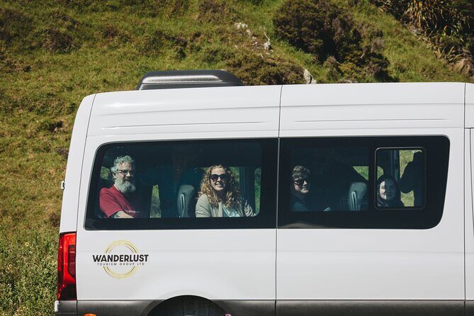 Seal Coast Safari - Exclusive access to Wellington's secret coast - Who Will Love This Tour?