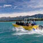 Seal Swimming Tour from Kaikoura - The Experience From the Viewpoint of Past Travelers