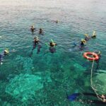 Seastar Luxury Outer Great Barrier Reef Island and Reef Tour - Final Thoughts: Who Should Consider This Tour?
