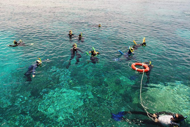 Seastar Luxury Outer Great Barrier Reef Island and Reef Tour - Final Thoughts: Who Should Consider This Tour?