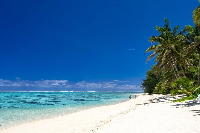 Seat in Coach Transfer from Rarotonga Airport to Hotel - The Real-World Experience: What Travelers Say