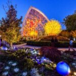 Seattle: Chihuly Garden and Glass Entry Ticket - Who Is This Tour Best For?