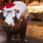 Seattle Holiday Donut Adventure & Walking Food Tour - In-Depth Look at Each Stop