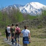 Seattle: Mt. St. Helens National Monument Small Group Tour - Is It Worth the Price?