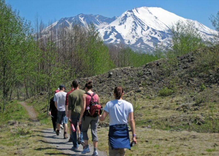 Seattle: Mt. St. Helens National Monument Small Group Tour - Is It Worth the Price?