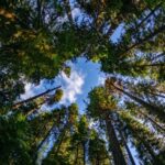 Seattle: Olympic National Park Small-Group Tour - Final Thoughts