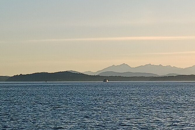 Seattle Sightseeing ScooTour - FAQs