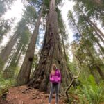 Seattle to California: National Parks and Coast Road Trip - The Downsides and Considerations