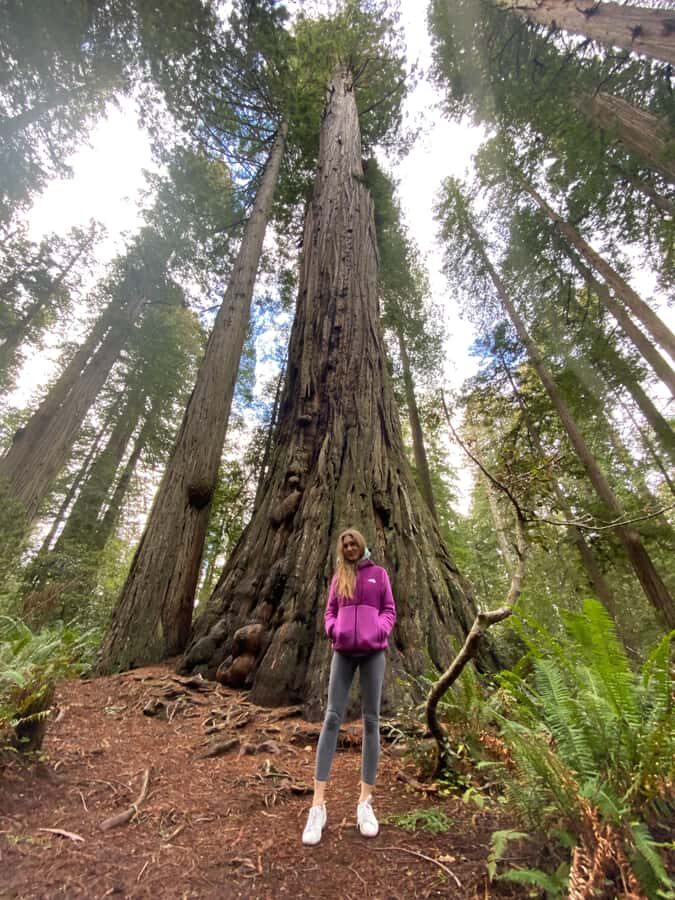 Seattle to California: National Parks and Coast Road Trip - The Downsides and Considerations