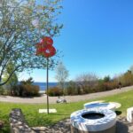 Seattle's Longest Historic & Cultural Walking Tour - Waterfront Views and the Space Needle