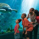 SeaWorld Orlando: Park Admission Ticket - Who Is This Tour Best For?