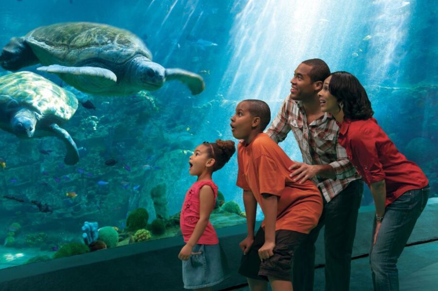 SeaWorld Orlando: Park Admission Ticket - Who Is This Tour Best For?